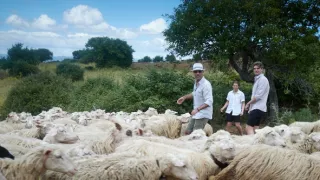 Gino na rodinných prázdninách (7)