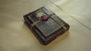 Napoleonova vojnová korisť