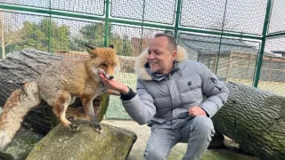 Máme radi zvieratá