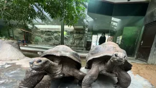 Máme radi zvieratá