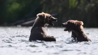 Velkolepý Yellowstone (4)