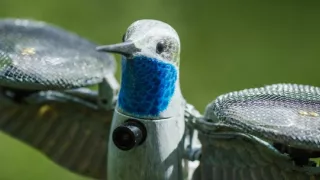 Zázračná planeta: Špioni v přírodě (2/4)