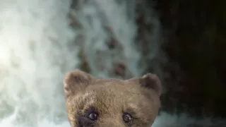 Zázračná planeta: Špioni v přírodě (2/4)