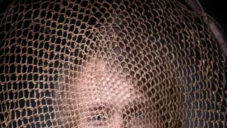 Rybie legendy Jakuba Vágnera