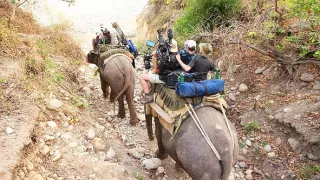 Rybie legendy Jakuba Vágnera