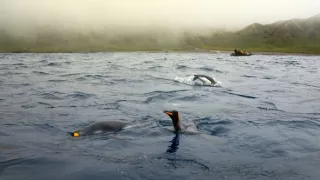 Antarktída pohľadom z neba