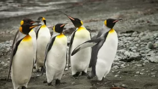 Antarktída pohľadom z neba