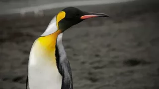 Antarktída pohľadom z neba