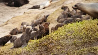 Antarktída pohľadom z neba