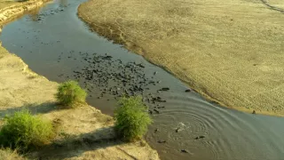 Afrikou letom svetom (6/6)