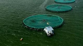 Afrikou letom svetom (6/6)