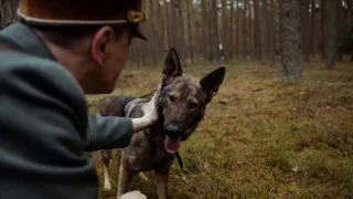 Vzestup nacistů II (2/3)