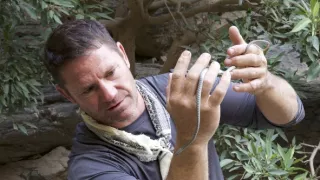 Dobrodružství do neznáma