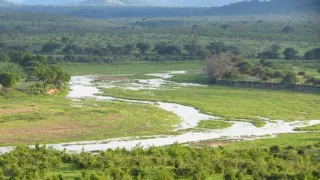 Kráľovstvo divočiny: Národný park Ruah, Tanzánia