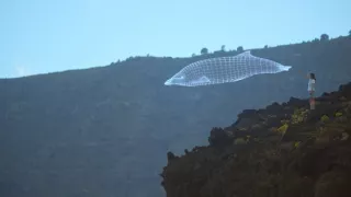 Morské cicavce - šampióni hlbín