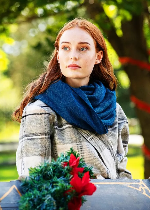 Vianoce na vidieku (Christmas at Maple Creek), 2020 - fotogaléria