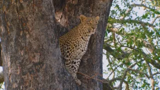 Veľkolepá príroda Afriky