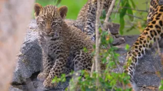 Veľkolepá príroda Afriky