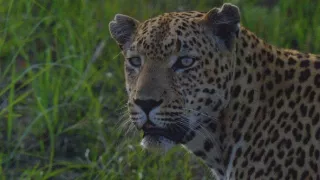 Veľkolepá príroda Afriky