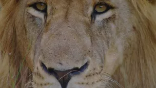 Veľkolepá príroda Afriky