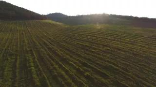 Korzika, krajina tradícií