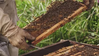 Korzika, krajina tradícií