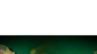 Chameleoni: Králové barev