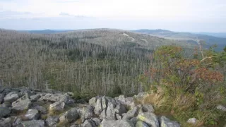 Divočina bez hraníc