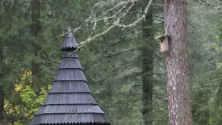 Divočina bez hraníc