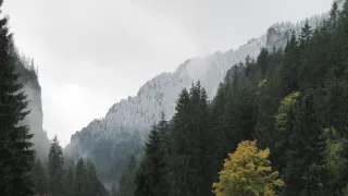 Divočina bez hraníc