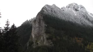 Divočina bez hraníc