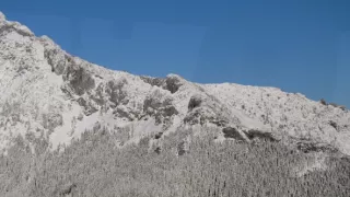 Divočina bez hraníc