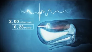 Ticho ve Středozemním moři