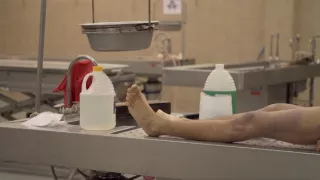 Salvador: vojna gangov