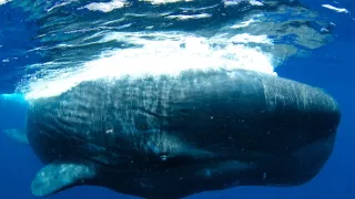 Země: Základy naší planety (1)