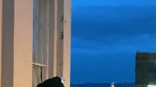 Alcatraz: Největší útěky (1/2)