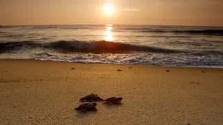 Život v extrémnych podmienkach (1/3)