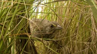 Život v extrémnych podmienkach (1/3)