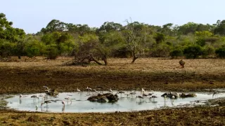 Život v extrémnych podmienkach (1/3)