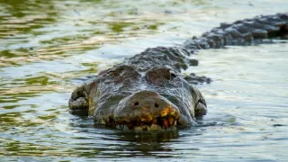 Život v extrémnych podmienkach (1/3)