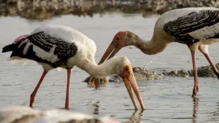Život v extrémnych podmienkach (1/3)