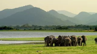 Život v extrémnych podmienkach (1/3)