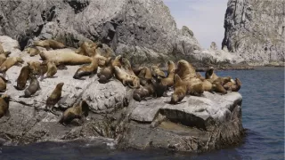 Kamčatka, tajuplná krajina