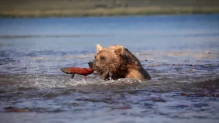 Tajemství Arktidy II (6)