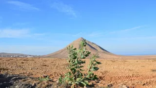 Na ceste po ostrove Fuerteventura