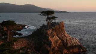 Na cestě po centrální Kalifornii