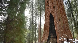 Na cestě po centrální Kalifornii