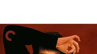 Šampón