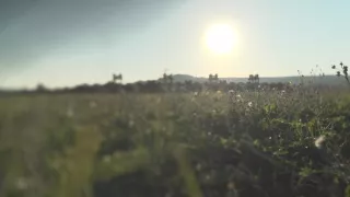 Rímske légie - armáda staviteľov