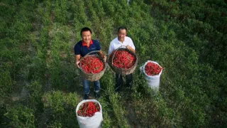 Čína na jazyku II (6/8)